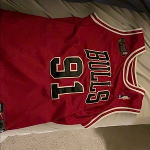 Dennis Rodman Dynasty Era Chicago Bulls Jersey